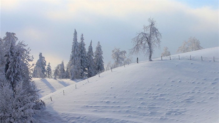 冬季冰雪美景 高清壁纸16