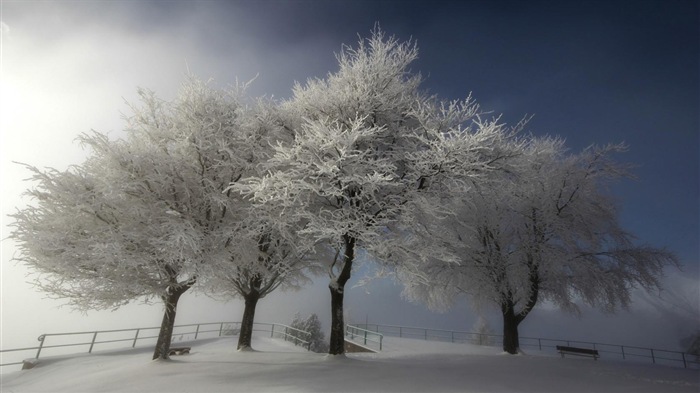 Neige d'hiver fonds d'écran HD magnifique de paysages #18