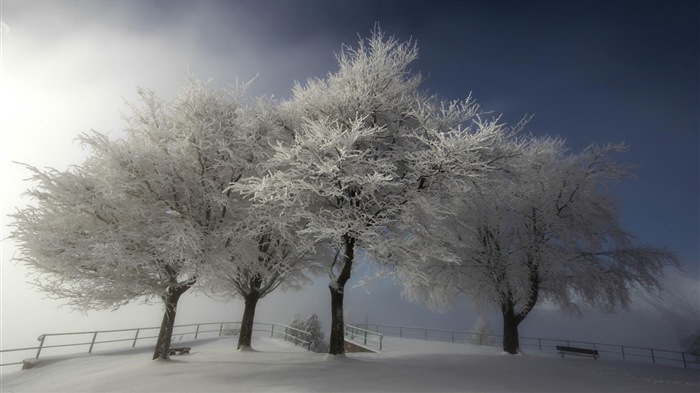 冬季冰雪美景 高清壁纸18