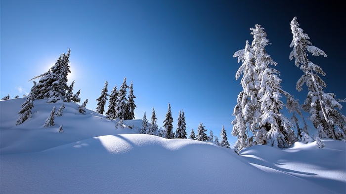 Winter snow beautiful scenery HD wallpapers #19