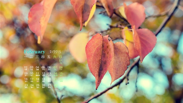 February 2015 Calendar wallpaper (1) #10