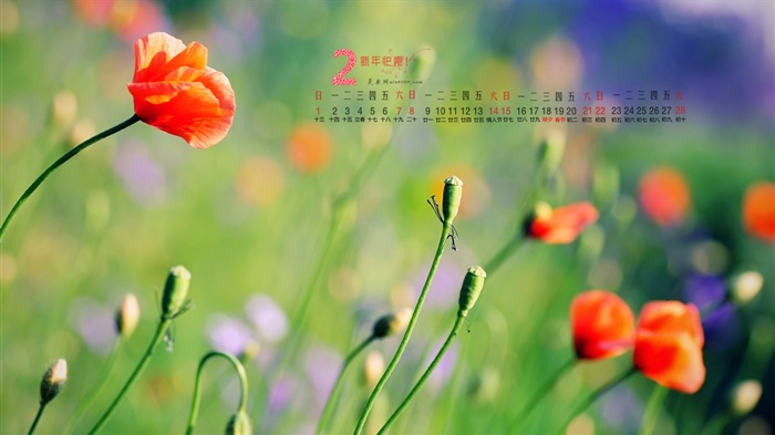 February 2015 Calendar wallpaper (1) #13