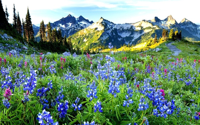 Mountains water clouds natural beauty landscape  HD wallpapers #19