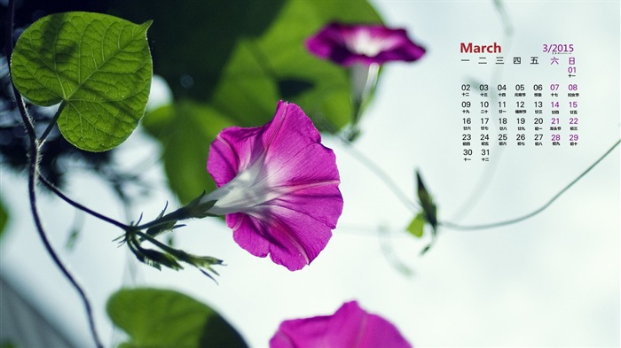 2015年3月 月曆壁紙(一) #14