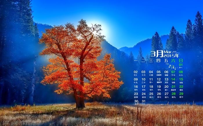 March 2015 Calendar wallpaper (1) #16