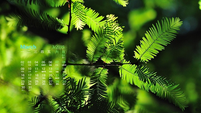 2015年3月 月曆壁紙(一) #18