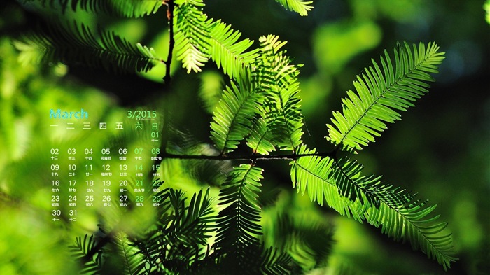 March 2015 Calendar wallpaper (1) #18