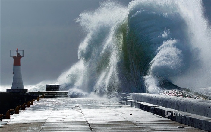 02 2015 fondos de pantalla HD Bing #5