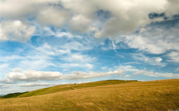 田园风景，Windows 8 高清壁纸5