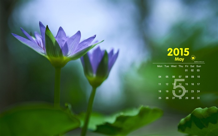 2015年5月カレンダー壁紙（1） #1