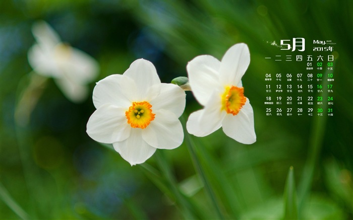 2015年5月カレンダー壁紙（1） #12