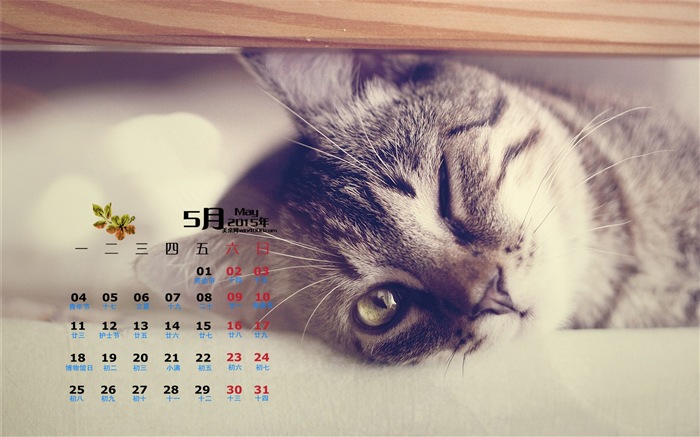2015年5月カレンダー壁紙（1） #14
