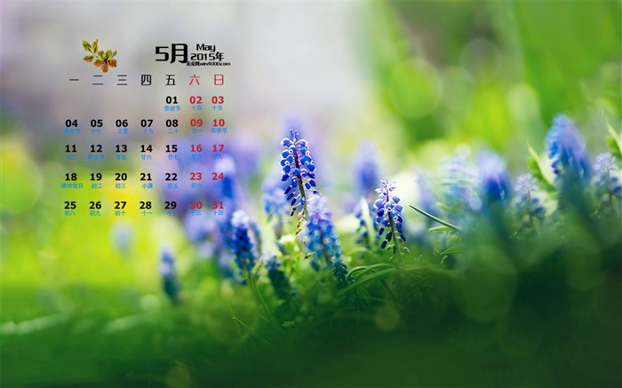 Mai 2015 calendar fond d'écran (1) #16
