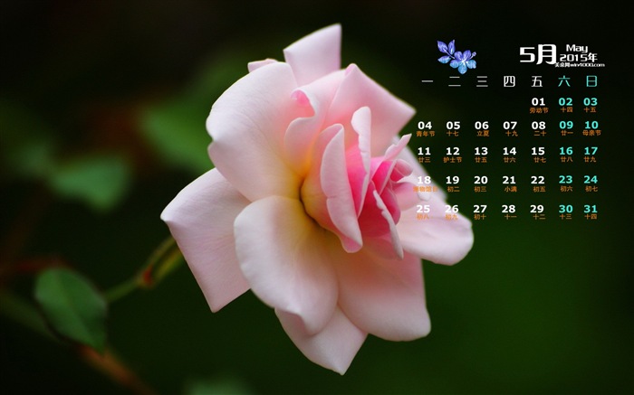 Mai 2015 Kalender Wallpaper (1) #18