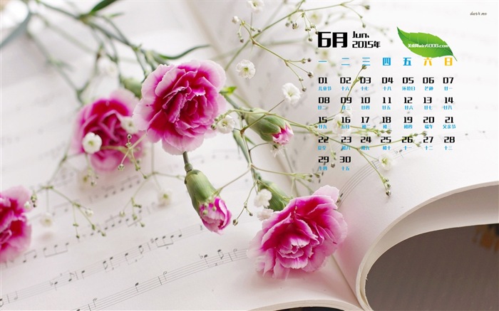 Juni 2015 Kalender Wallpaper (1) #11