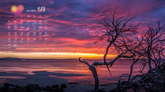 Juni 2015 Kalender Wallpaper (1) #16