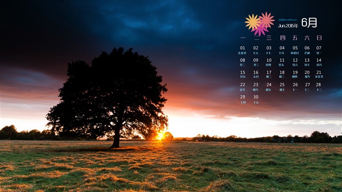 Juni 2015 Kalender Wallpaper (1) #18