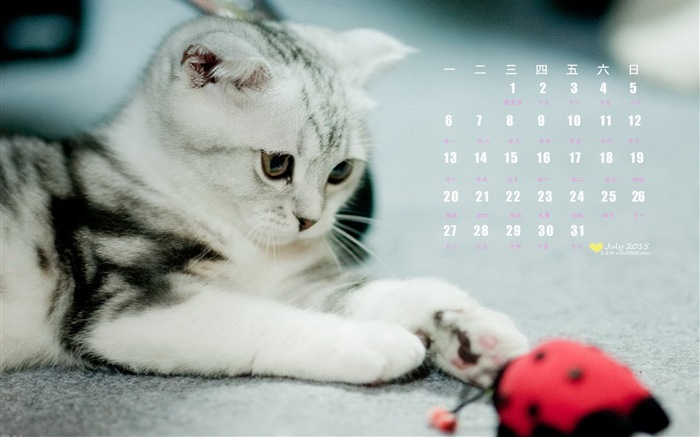 Juillet 2015 papier peint de calendrier (1) #11