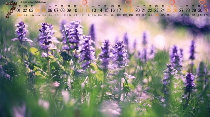 Juli 2015 Kalender Wallpaper (1) #12