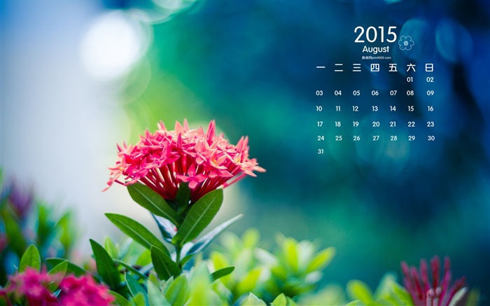 August 2015 calendar wallpaper (1) #12