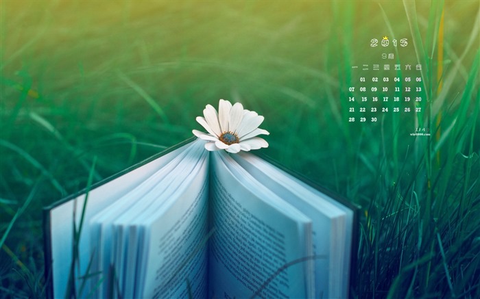 September 2015 calendar wallpaper (2) #4