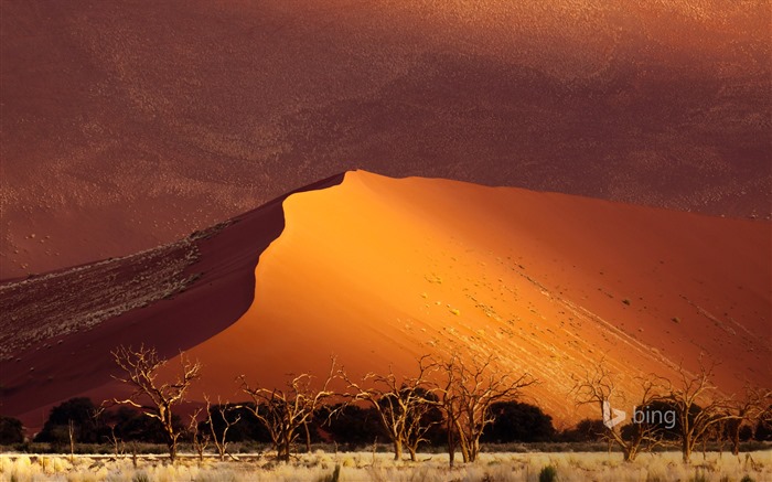 Mai 2015 fonds d'écran HD Bing #31