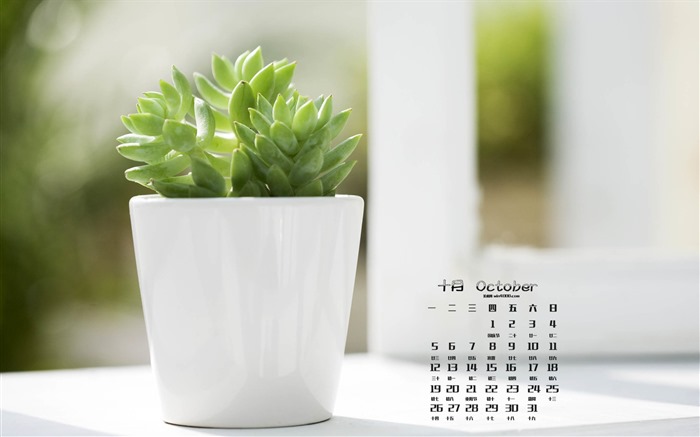 Octobre 2015 wallpaper civile (1) #11