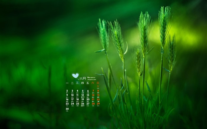 November 2015 Kalender Wallpaper (2) #2