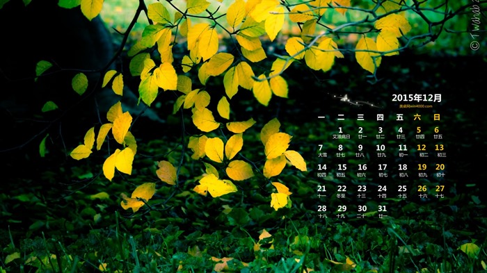 December 2015 Calendar wallpaper (1) #7