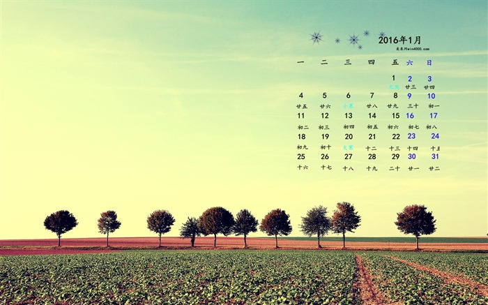 January 2016 calendar wallpaper (1) #18