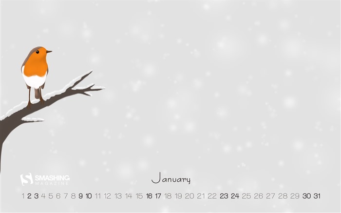 January 2016 calendar wallpaper (2) #14