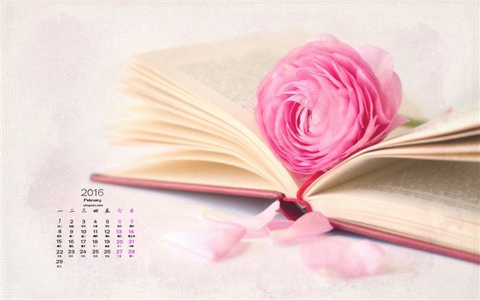 February 2016 Calendar wallpaper (1) #12