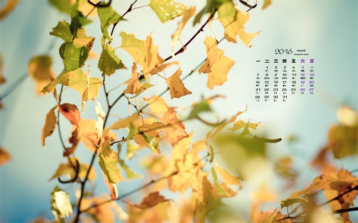 March 2016 calendar wallpaper (1) #6