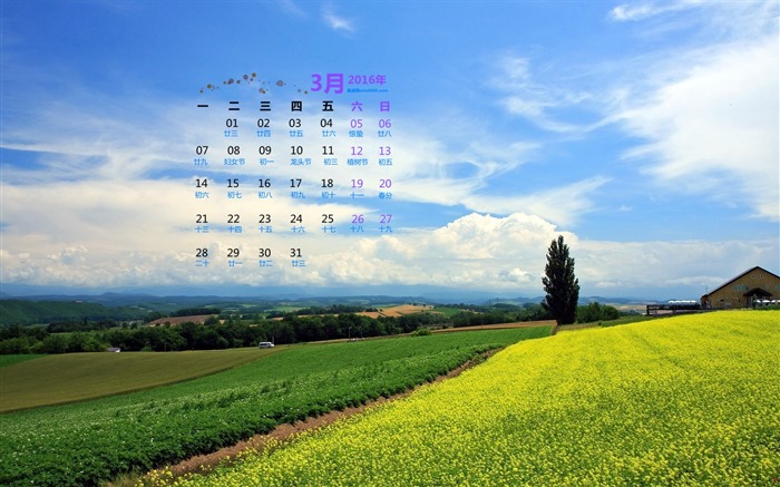 March 2016 calendar wallpaper (1) #13