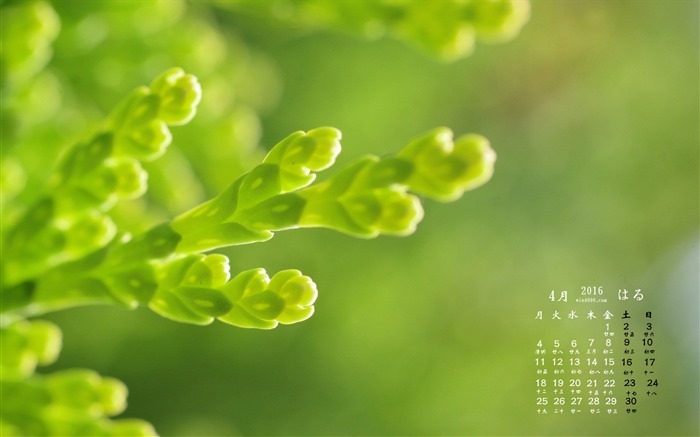 2016 April Kalender Wallpaper (2) #2