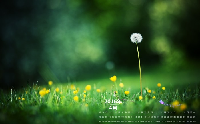 De abril de fondo de pantalla de calendario el año 2016 (2) #4