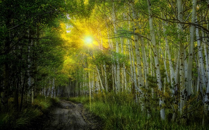 Humanidades y los fondos de pantalla de ordenador de paisajes naturales #8