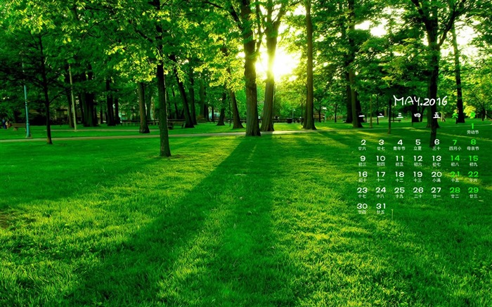 Mayo 2016 calendario de fondo de pantalla (2) #3