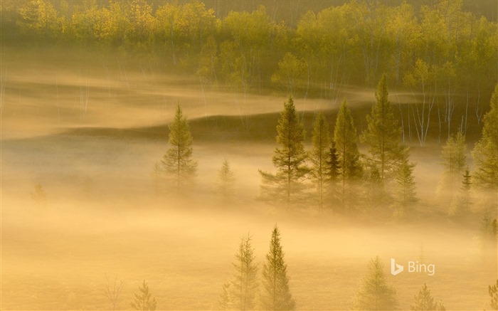 Апрель 2016 года Bing тема HD обои #14