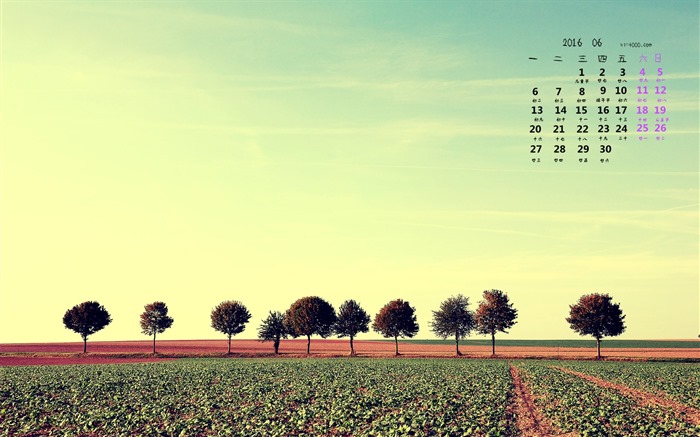 De junio de el año 2016 fondo de pantalla de calendario (2) #2