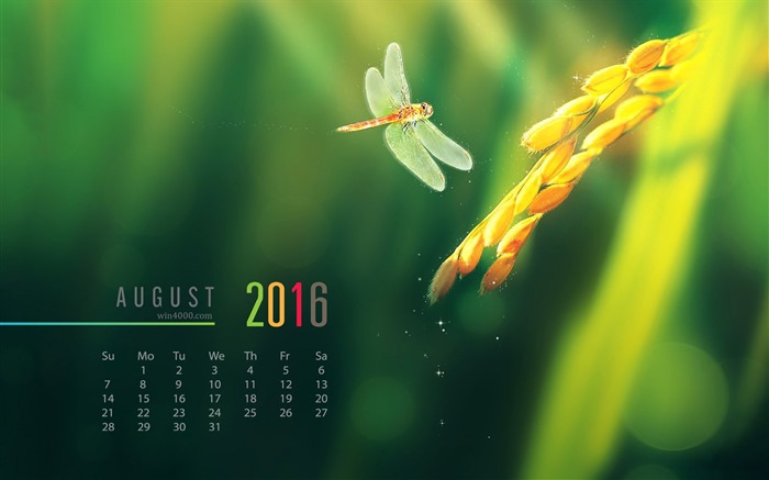 Août 2016 calendrier fond d'écran (2) #2