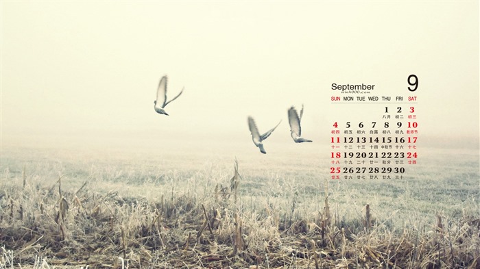 De septiembre de fondo de pantalla de calendario el año 2016 (2) #6