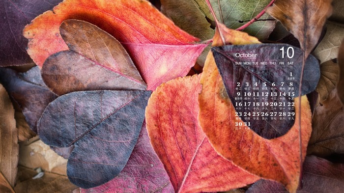 De octubre de el año 2016 fondo de pantalla de calendario (1) #9