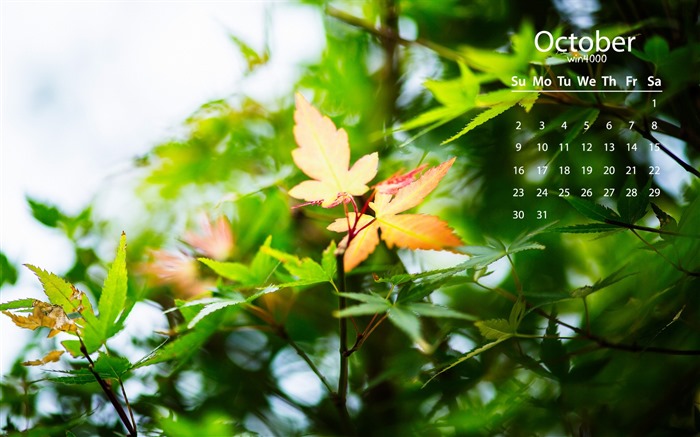 De octubre de el año 2016 fondo de pantalla de calendario (2) #4