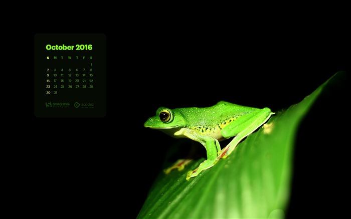 De octubre de el año 2016 fondo de pantalla de calendario (2) #12