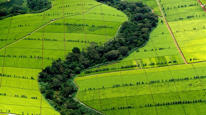 De agosto de 2016 fondos de pantalla HD tema de Bing (1) #32