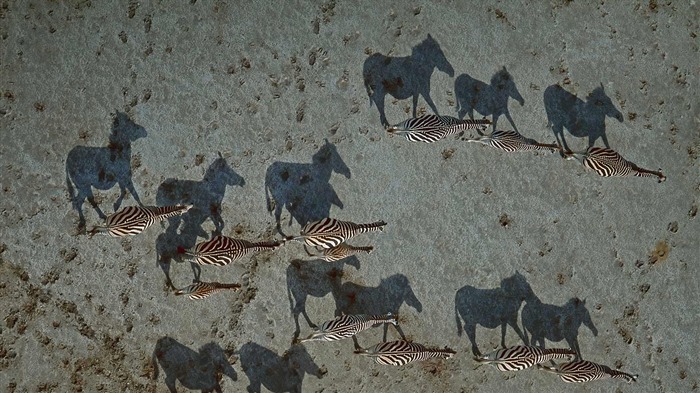 De agosto de 2016 fondos de pantalla HD tema de Bing (2) #20