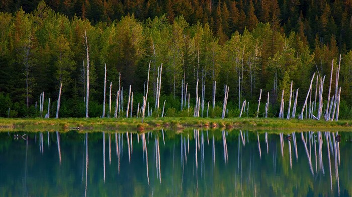 De agosto de 2016 fondos de pantalla HD tema de Bing (2) #21