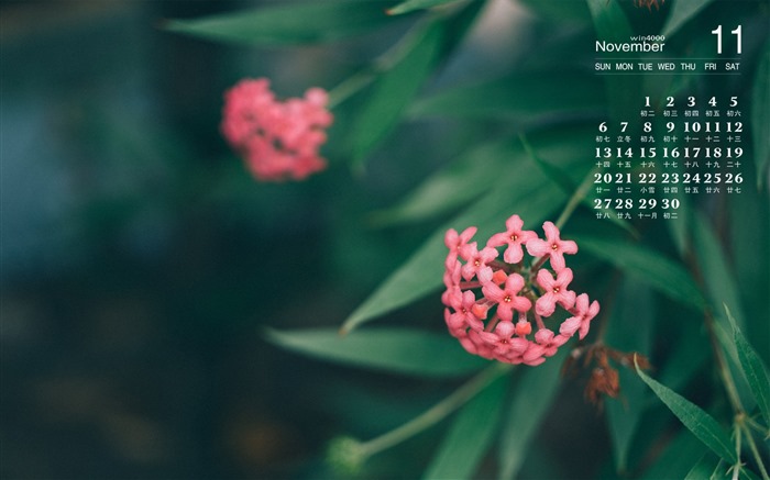 Fondo de escritorio del calendario de noviembre de 2016 (1) #2