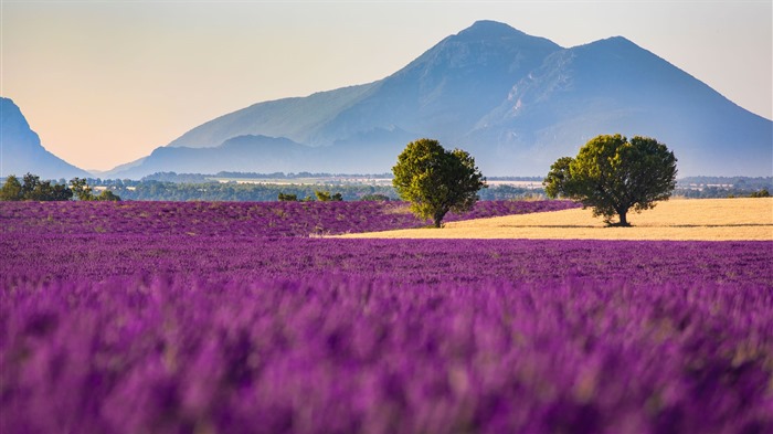 Septiembre de 2016 Bing tema HD fondos de pantalla (1) #31